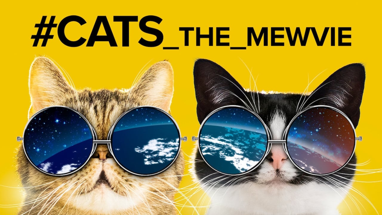 Fondo de pantalla de la película #cats_the_mewvie en Cliver.tv gratis