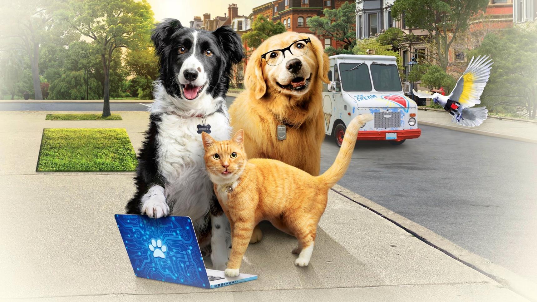 Fondo de pantalla de la película Como perros y gatos: La patrulla unida en Cliver.tv gratis