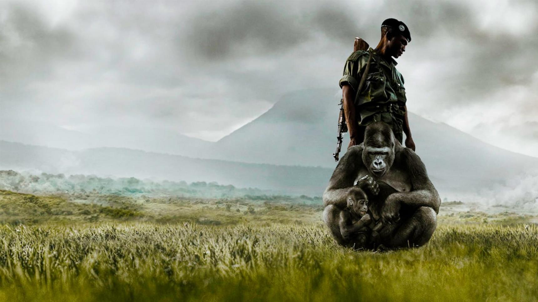 Fondo de pantalla de la película Virunga en Cliver.tv gratis