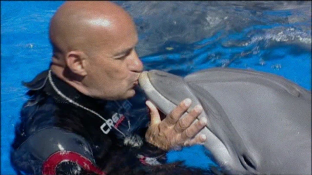 Fondo de pantalla de la película ¿Qué le pasó al rey de los delfines? en Cliver.tv gratis
