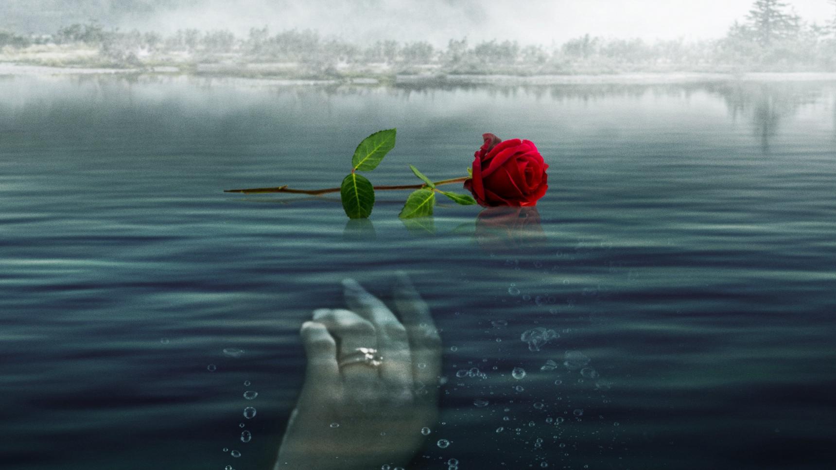 Fondo de pantalla de la película A Rose for Her Grave: The Randy Roth Story en Cliver.tv gratis