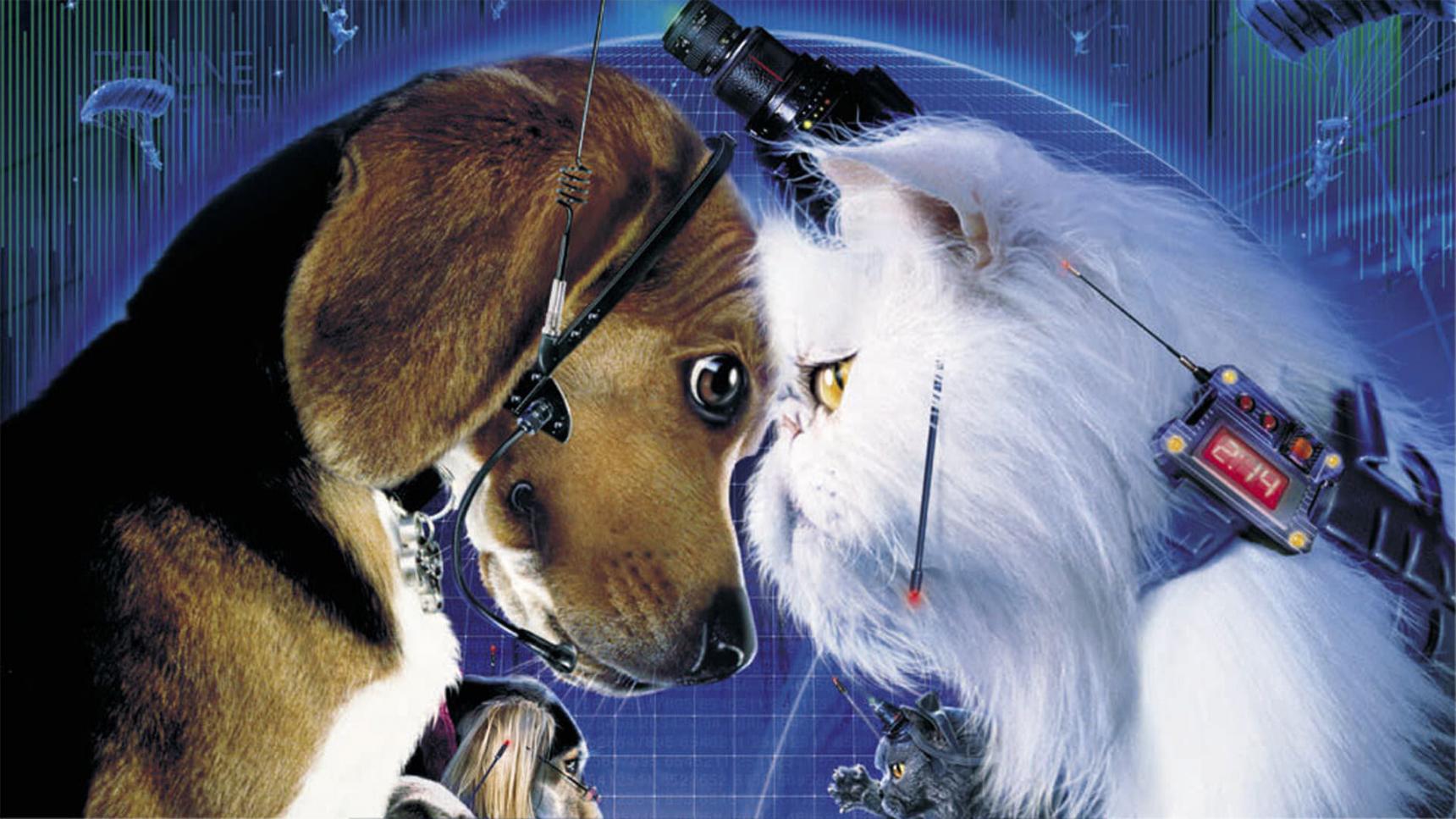 Fondo de pantalla de la película Como perros y gatos en Cliver.tv gratis