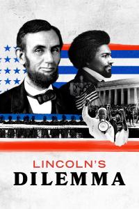 poster de la serie El dilema de Lincoln online gratis