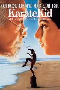 poster de la pelicula Karate Kid, el momento de la verdad gratis en HD