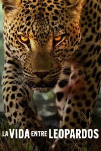 Poster La vida entre leopardos