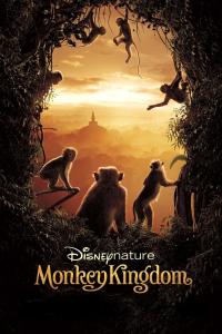 Poster El reino de los monos